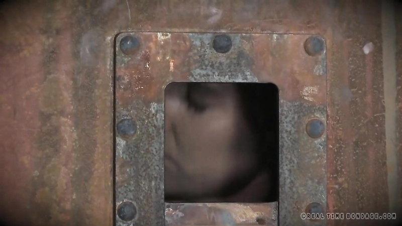 REALTIME BONDAGE - Cunt Puppy