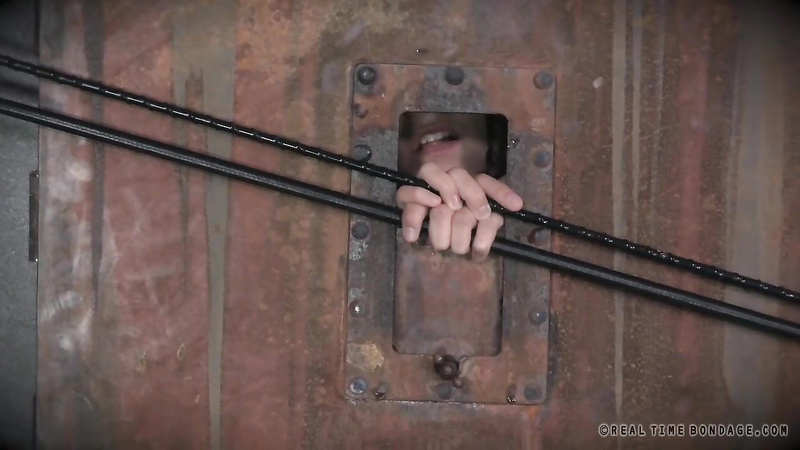 REALTIME BONDAGE - Cunt Puppy